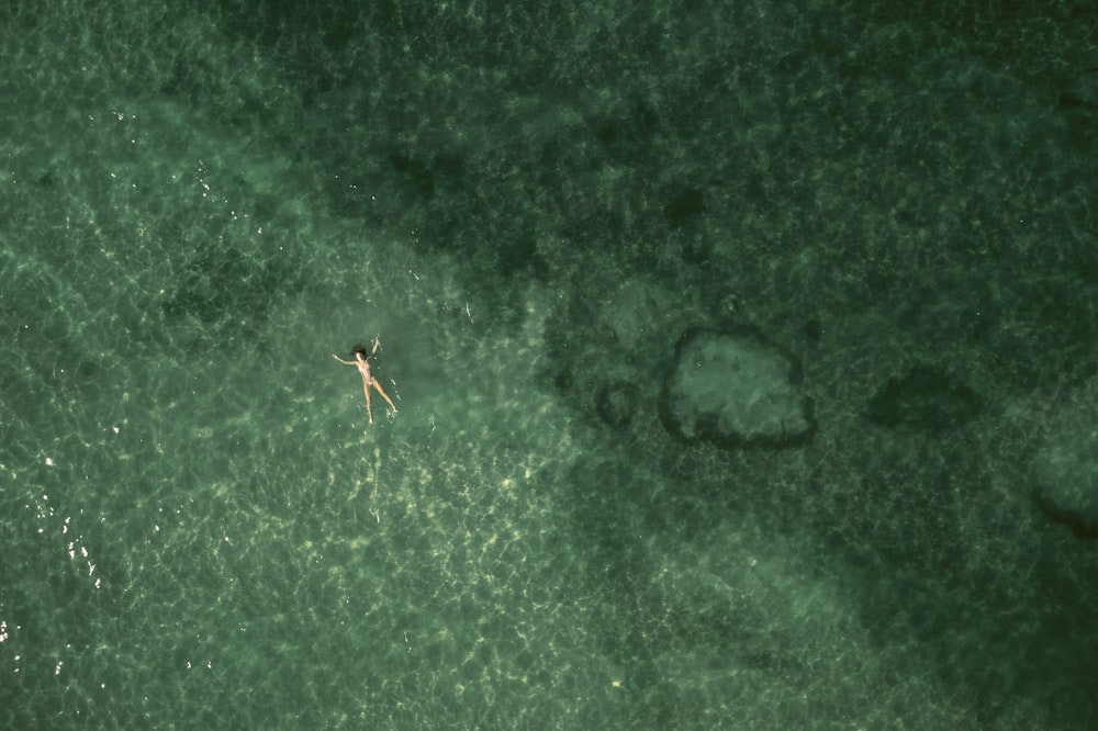 une personne dans un plan d’eau avec une planche de surf