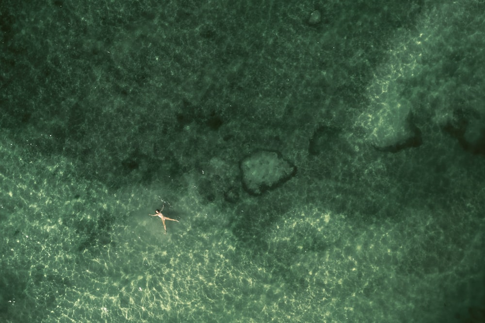 an aerial view of a plane flying over the ocean