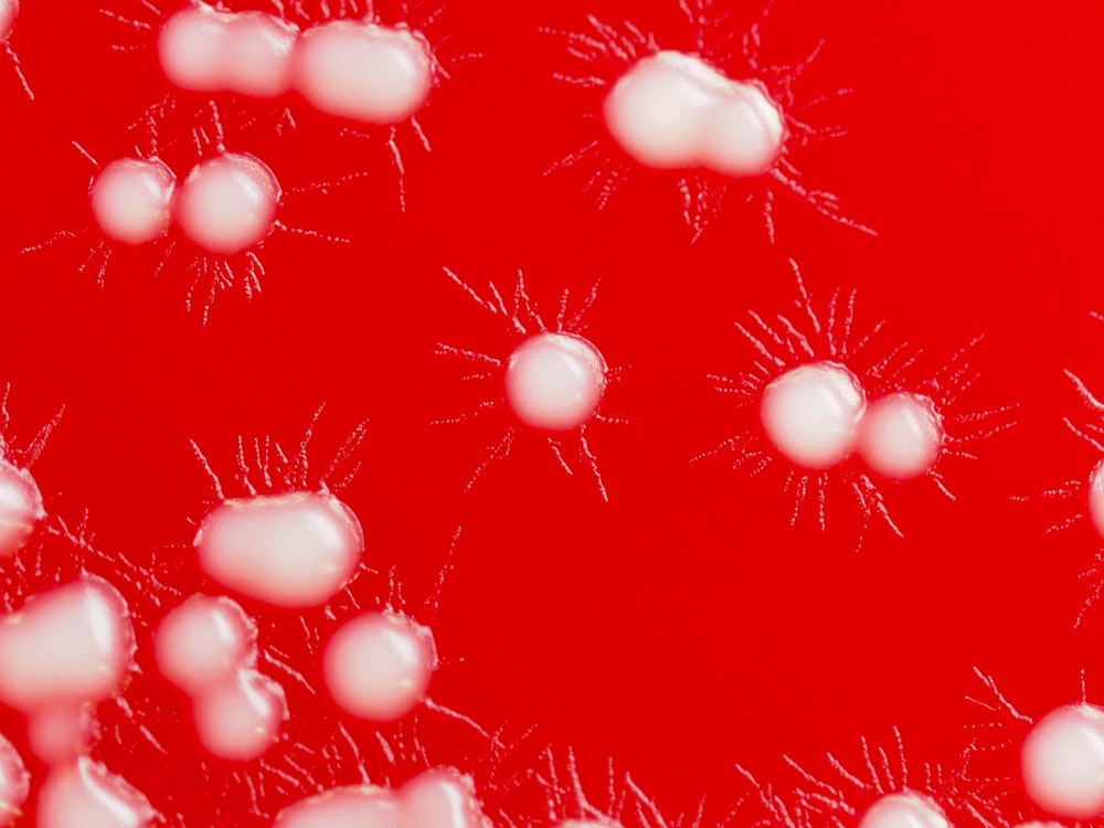 a group of white balls on a red background