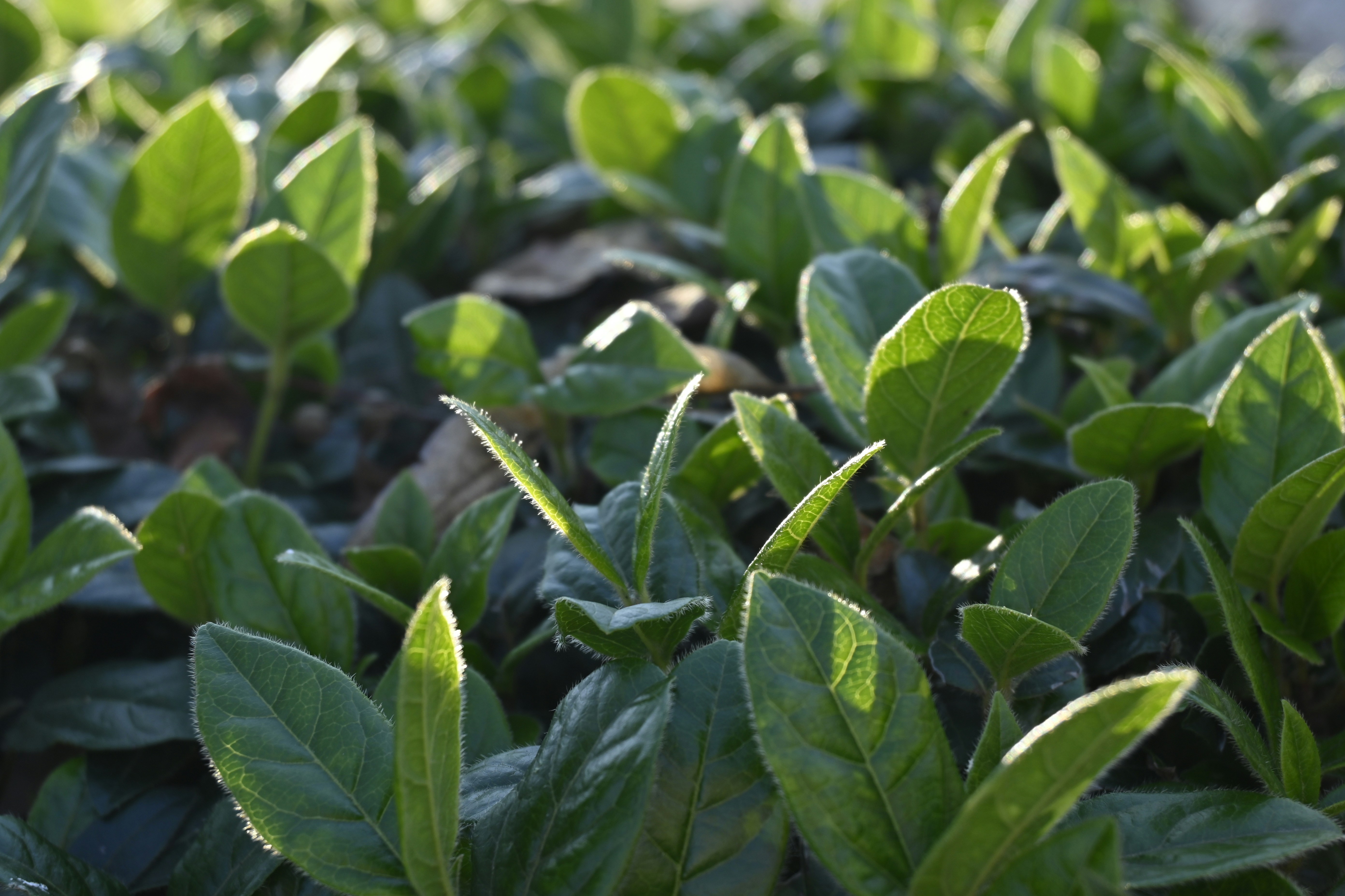 Photo by workingdeluna