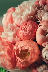 a bunch of pink flowers sitting on top of a table