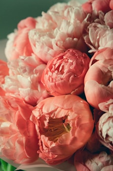 a bunch of pink flowers sitting on top of a table
