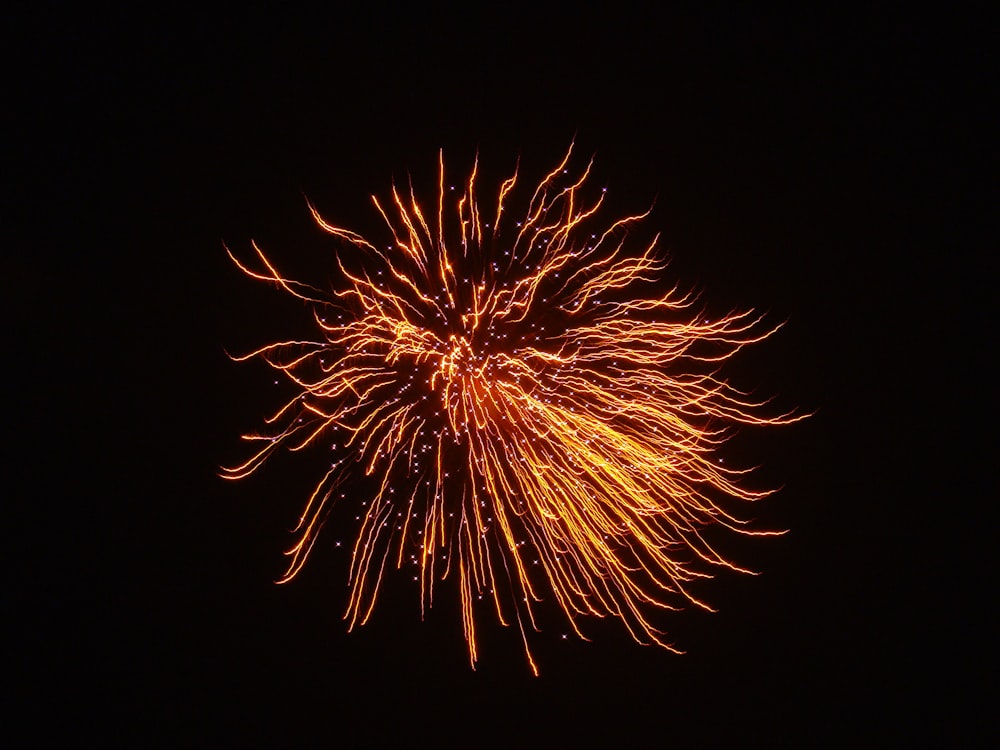 a fireworks is lit up in the dark sky