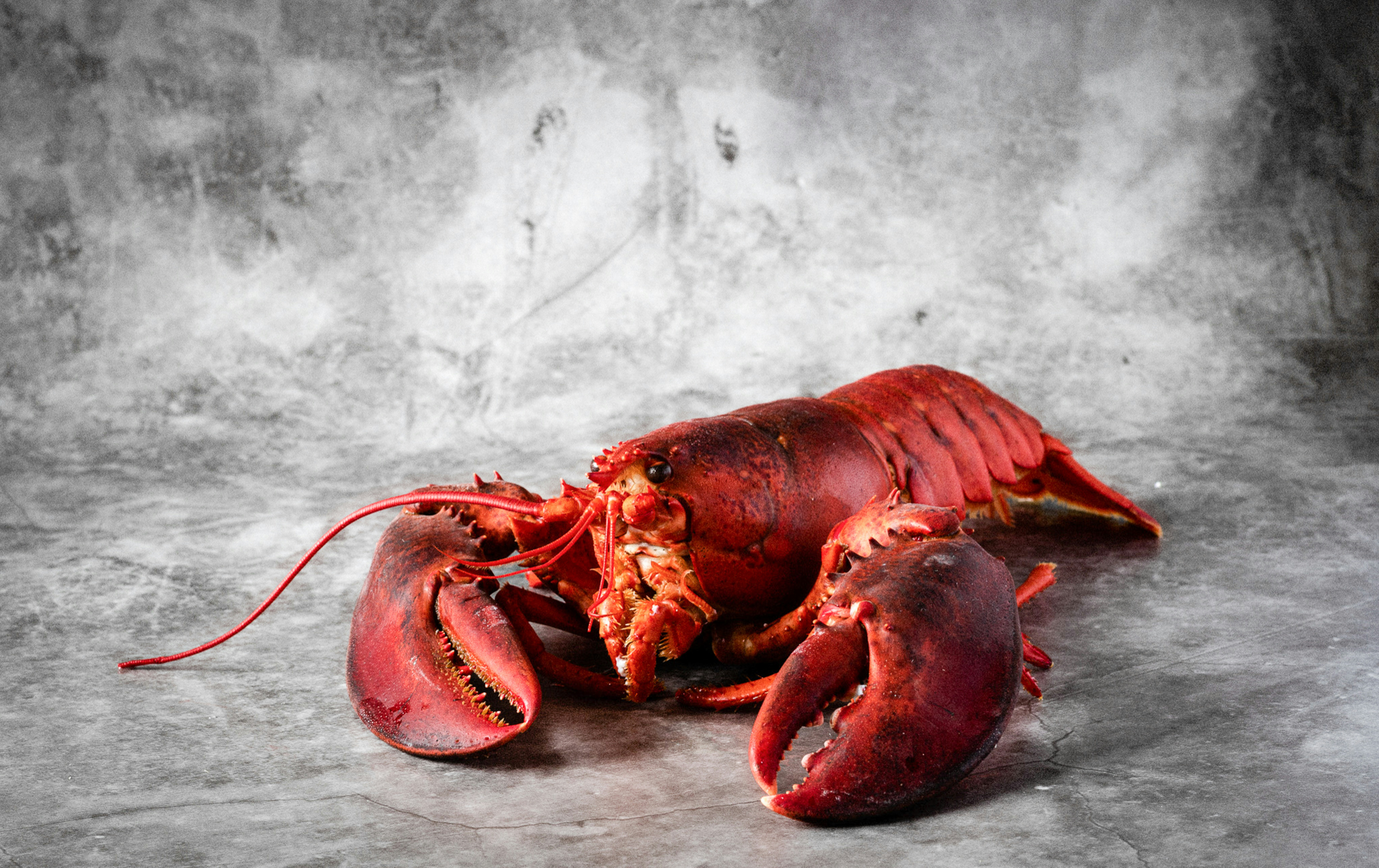 Delicias de Mariscos Manabitas