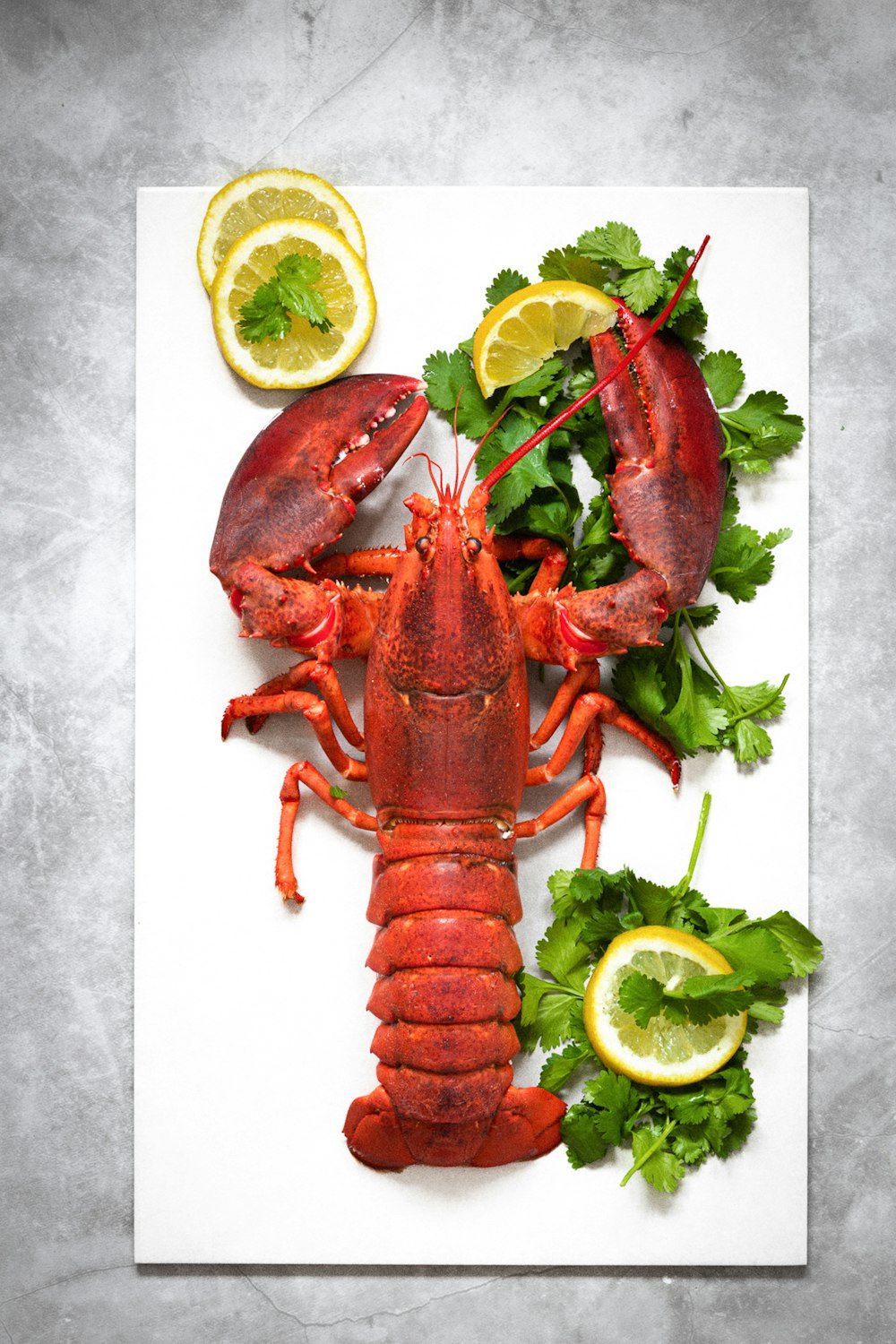a lobster on a plate with lemons and parsley