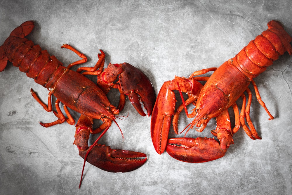a couple of lobsters laying on top of a table