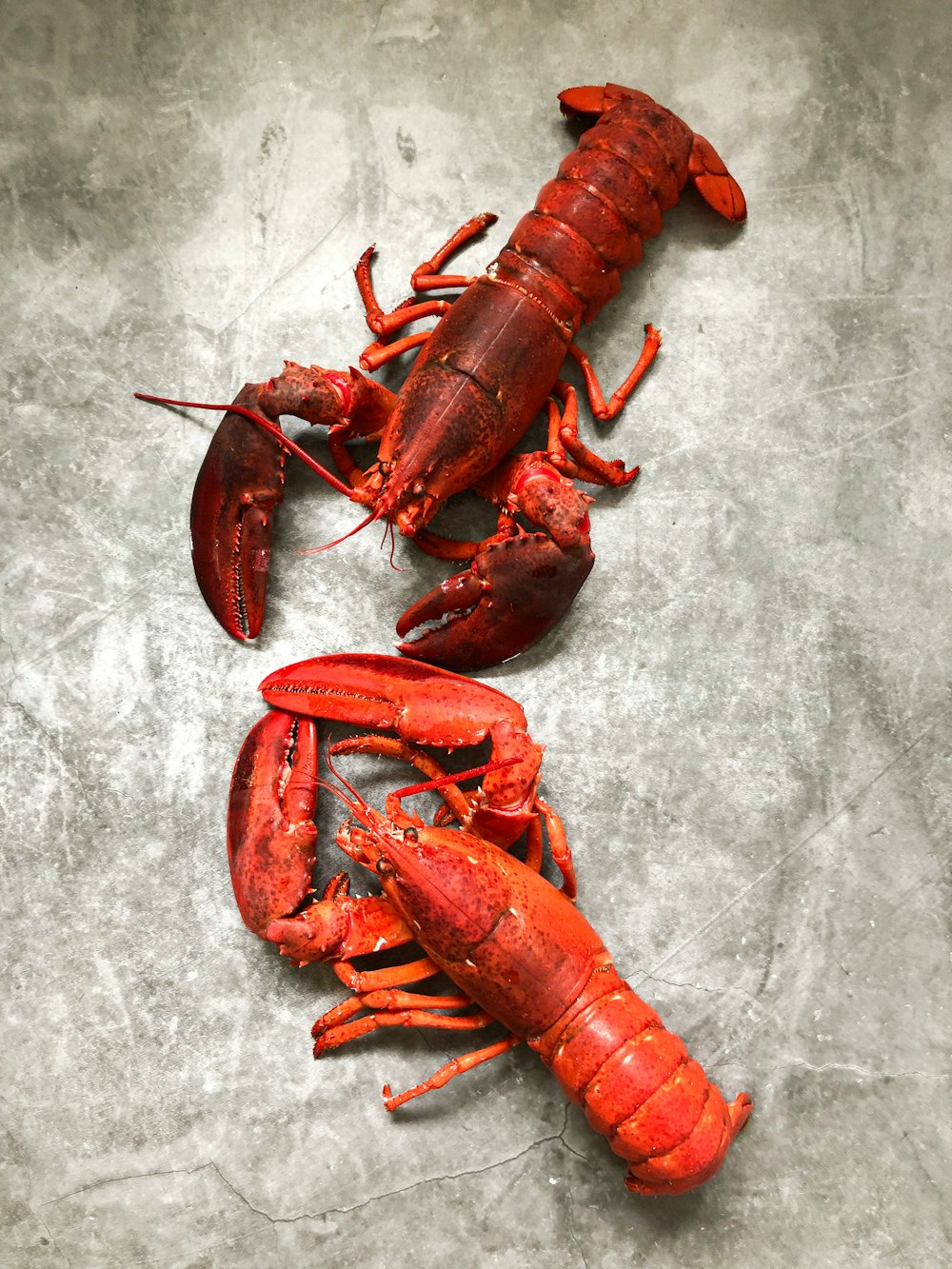 a couple of lobsters laying on a table