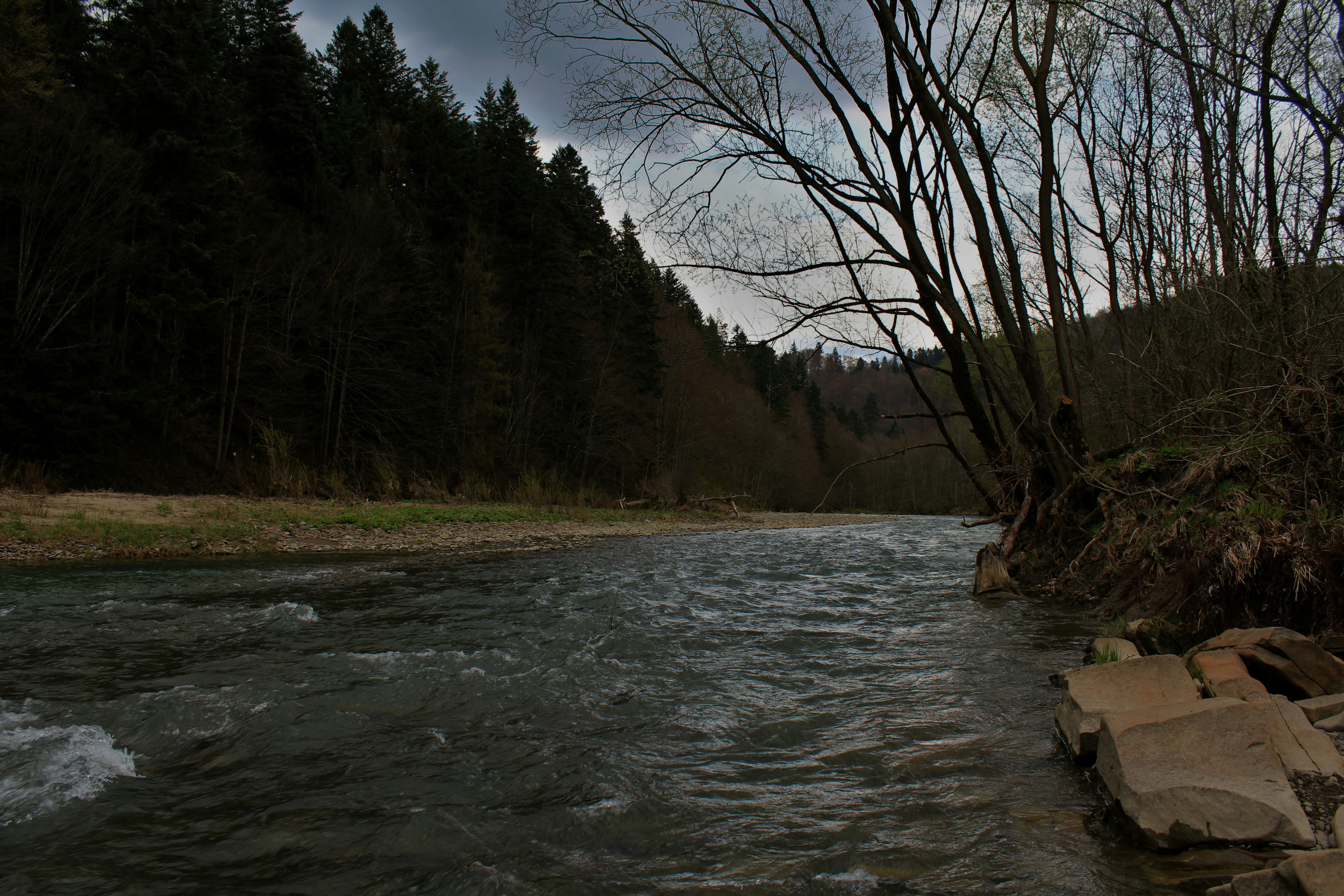 Photo by wilczus