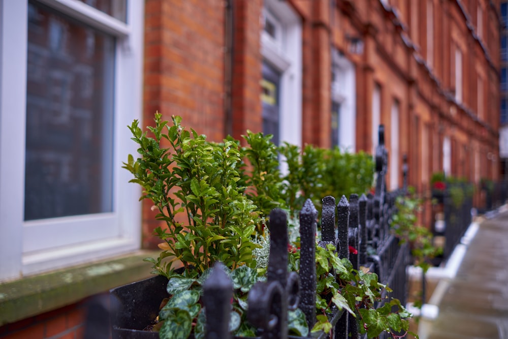 a row of brick buildings with a black fence