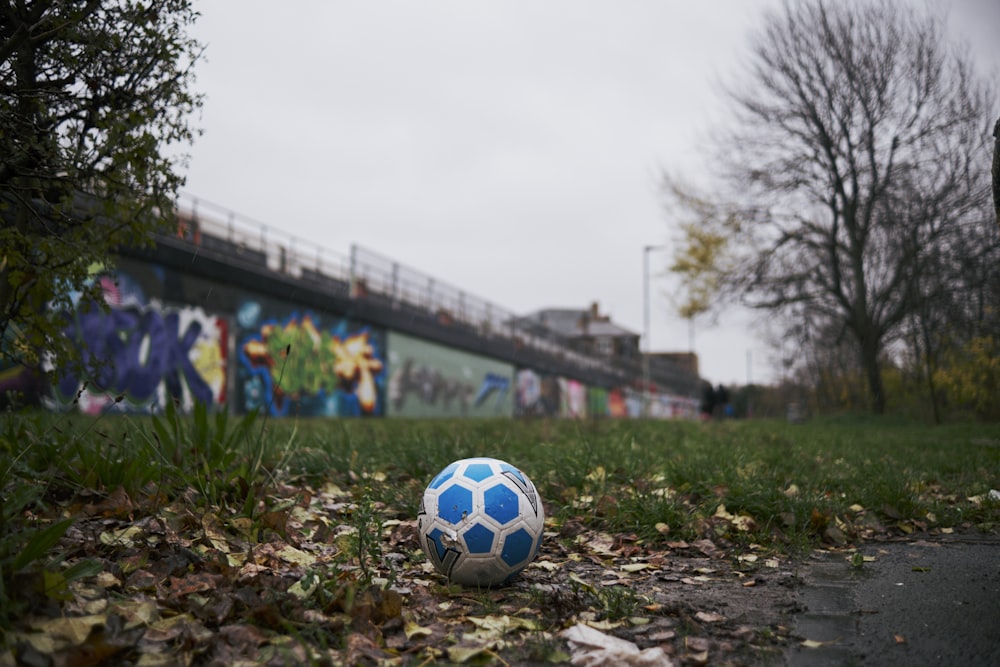 a blue and white soccer ball sitting in the grass