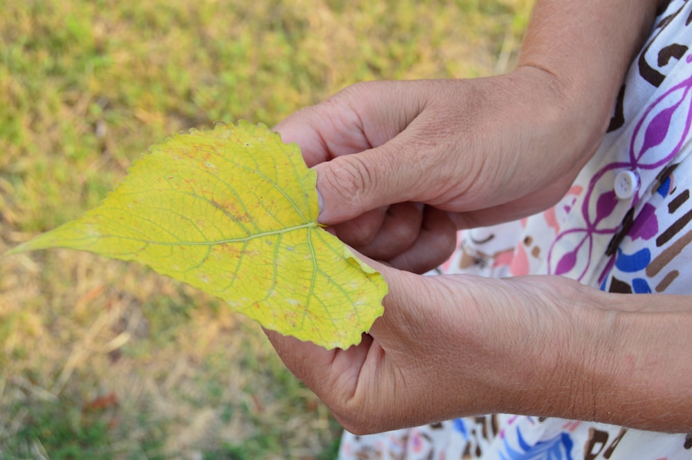 a woman holding a leaf in her hands