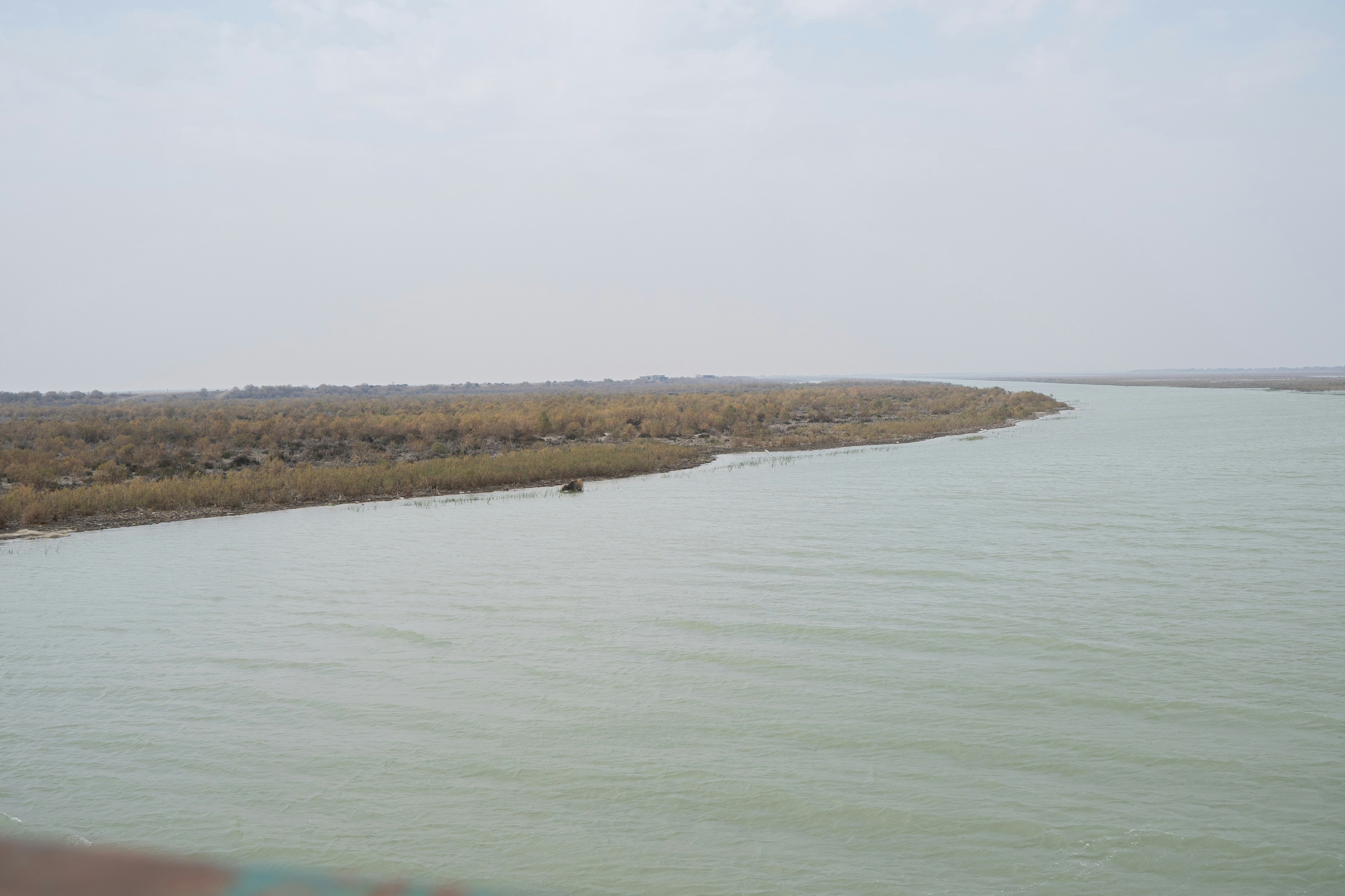 Mesopotamia and Ancient Art Quiz