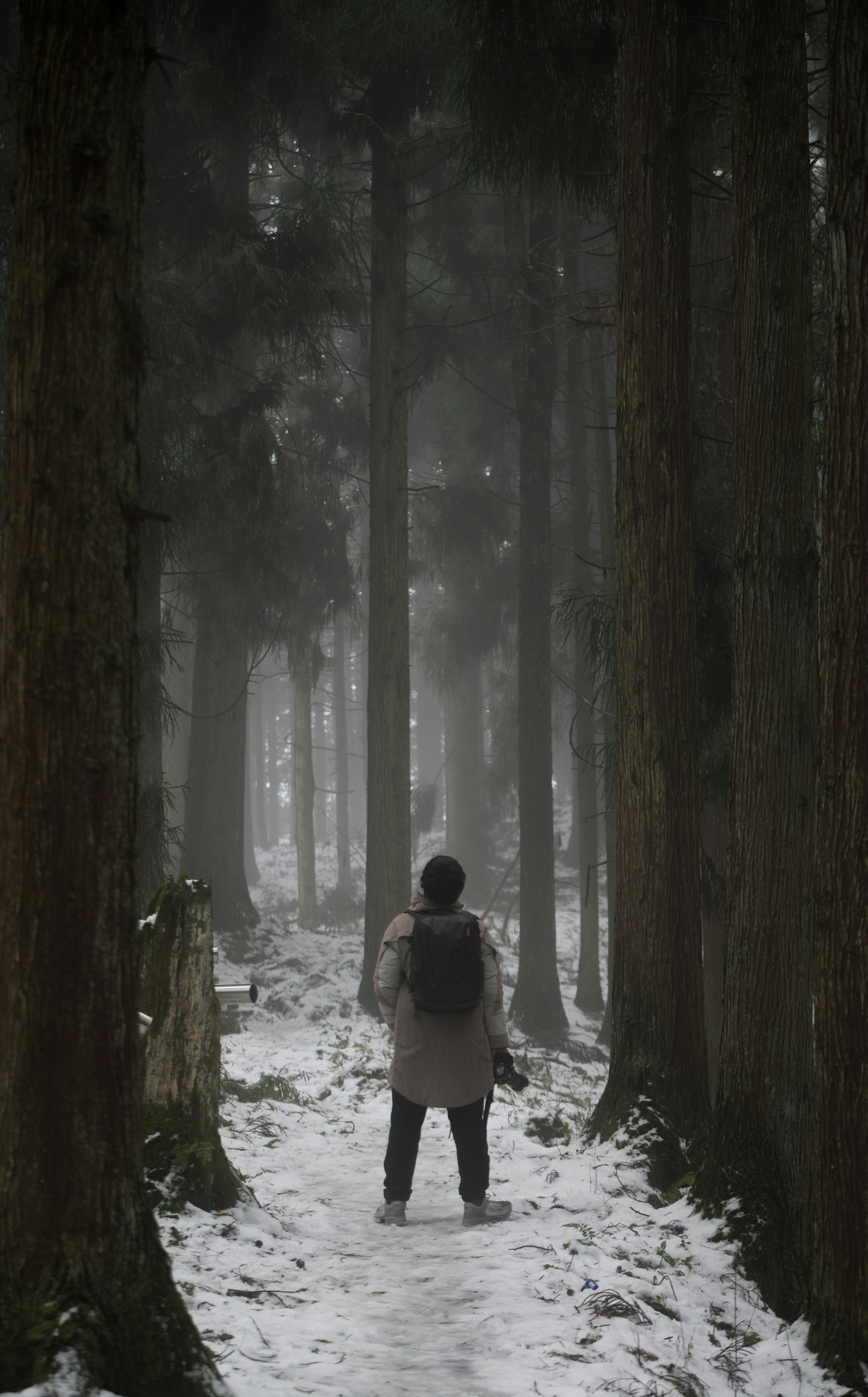 A person with a backpack walking through a snowy forest photo – Free ...