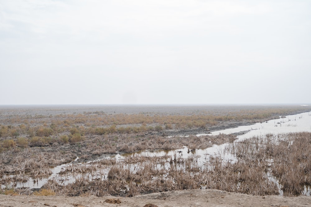 a river running through a dry grass covered field