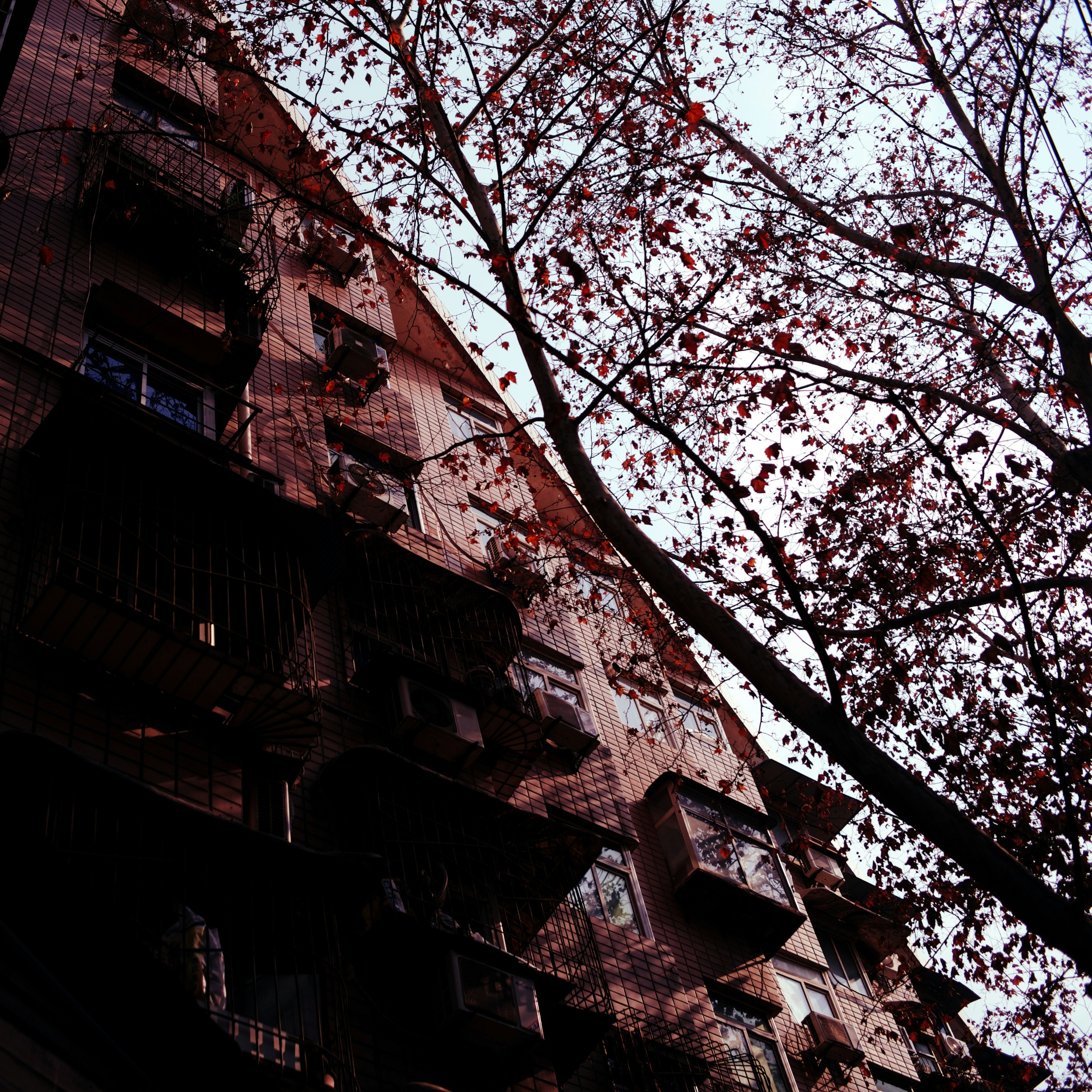 Photo by noahzhao