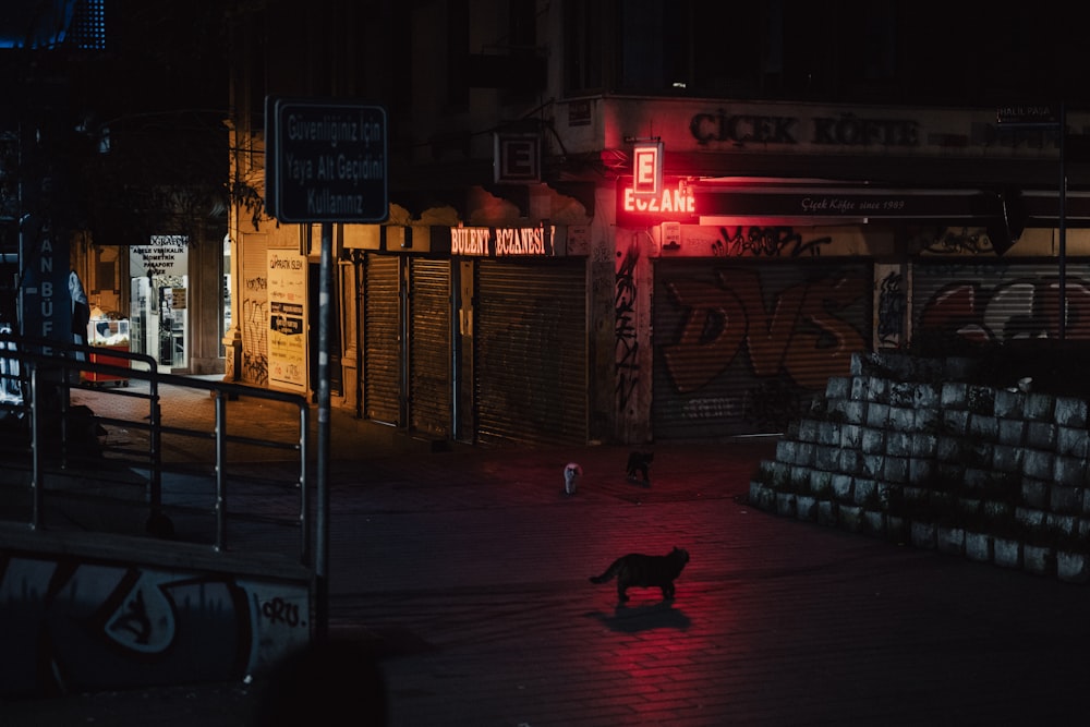 a dog is standing in the middle of a street at night