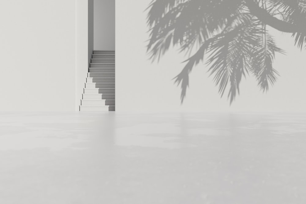 a white room with stairs and a palm tree