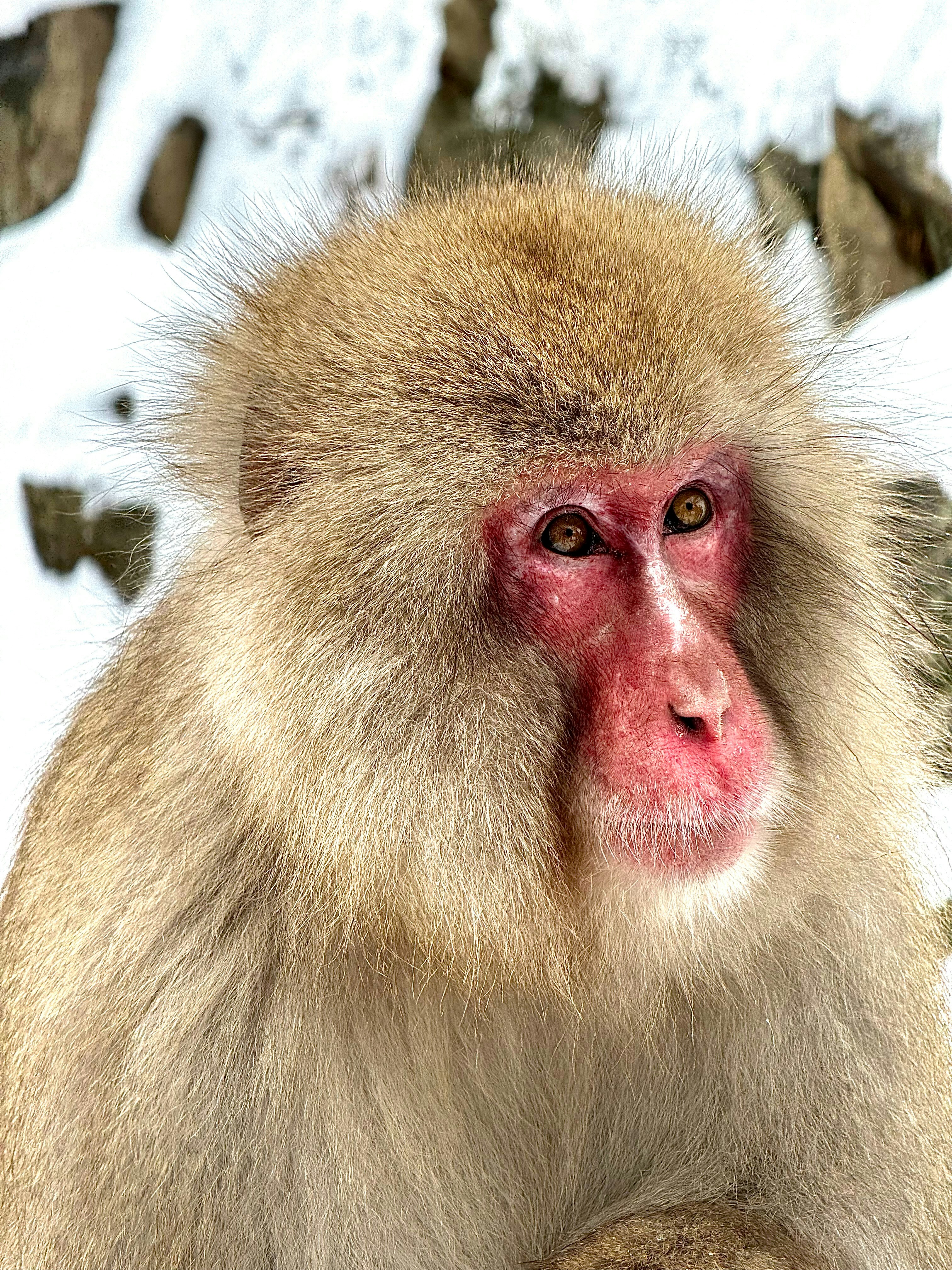 Photo by vladislavsbuzinskis