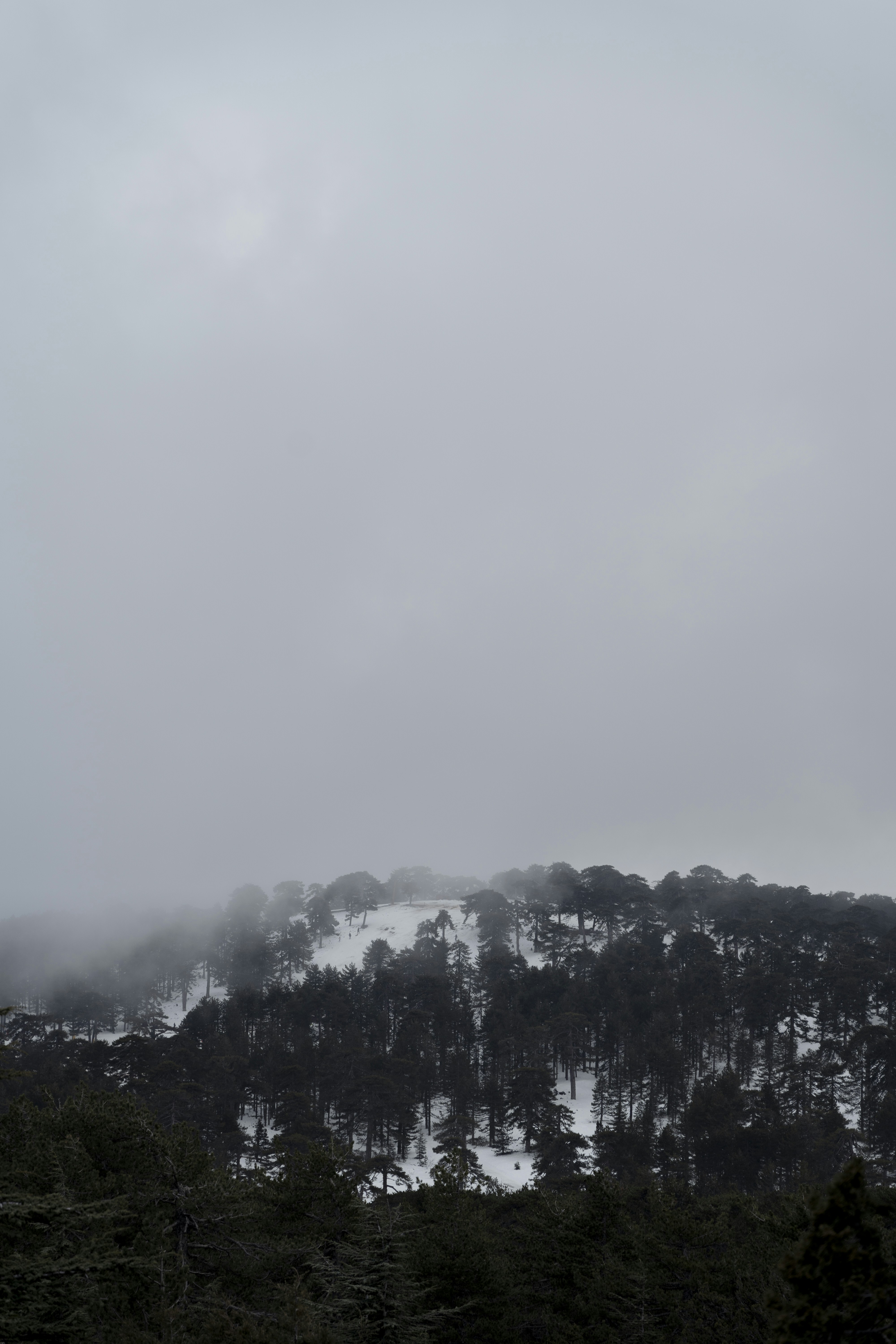 Photo by jacksonh___