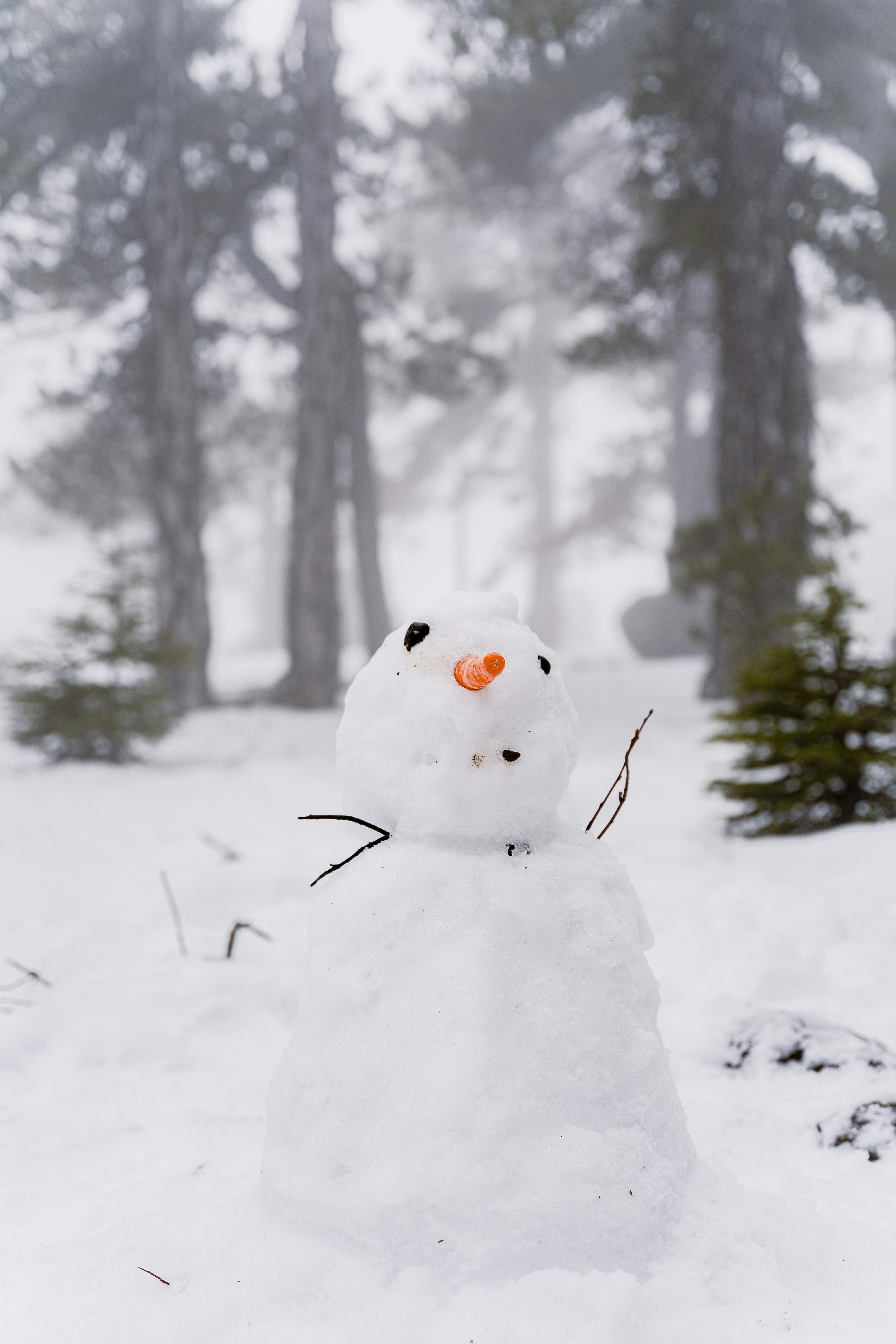 Photo by jacksonh___