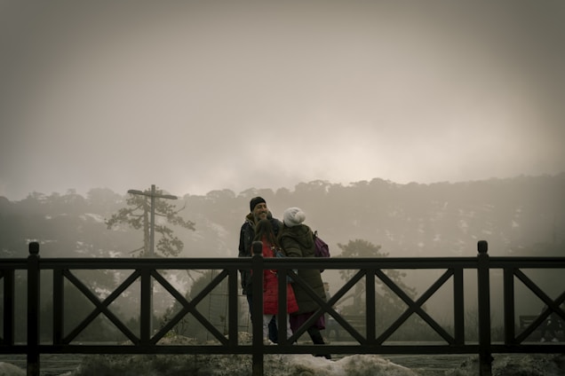 a couple of people walking across a bridge