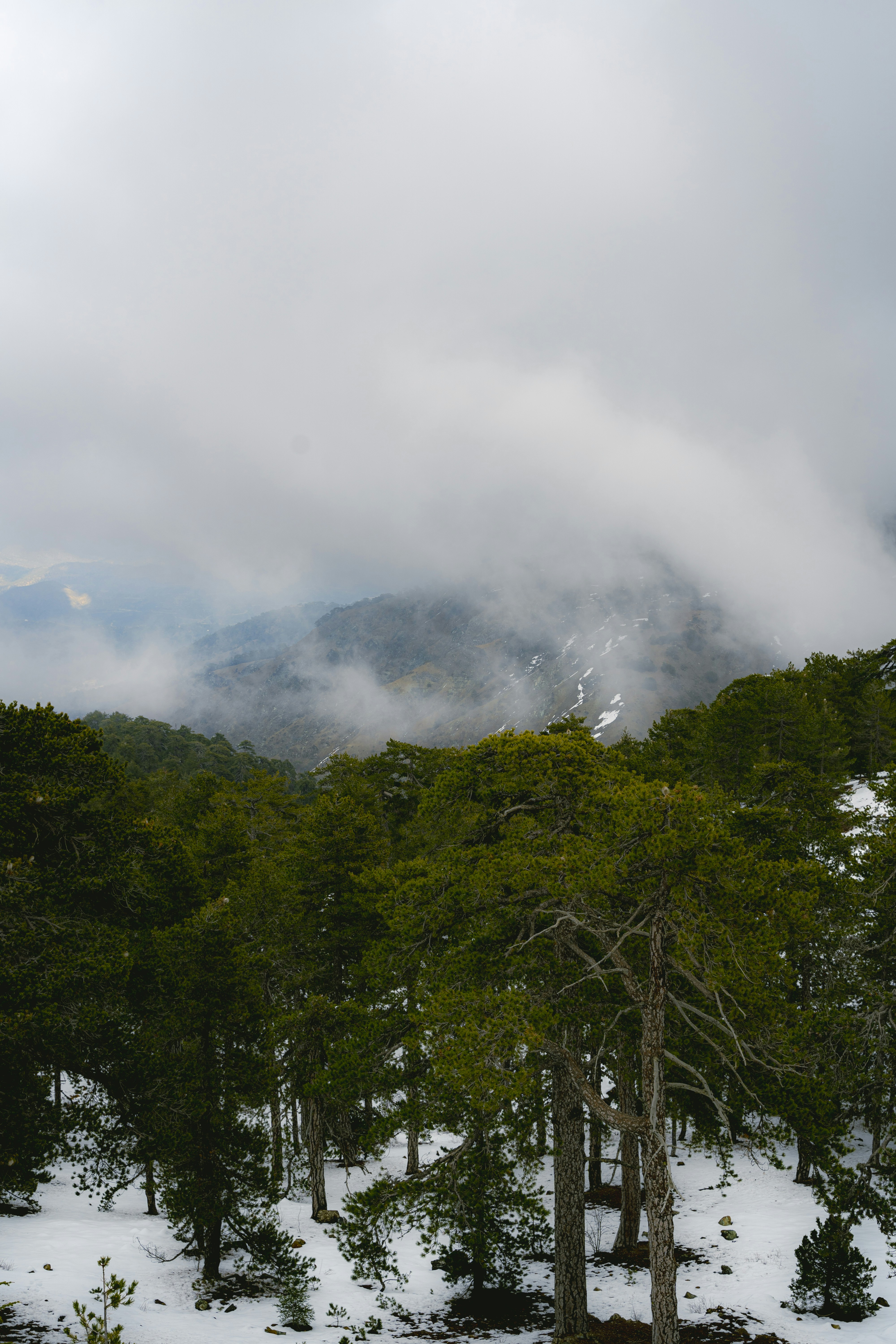 Photo by jacksonh___