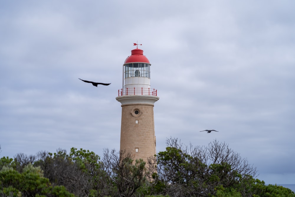 a bird flies past a lighthouse on a cloudy day