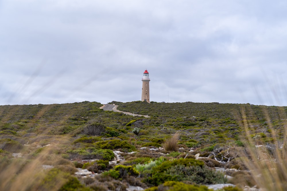 a light house on top of a grassy hill