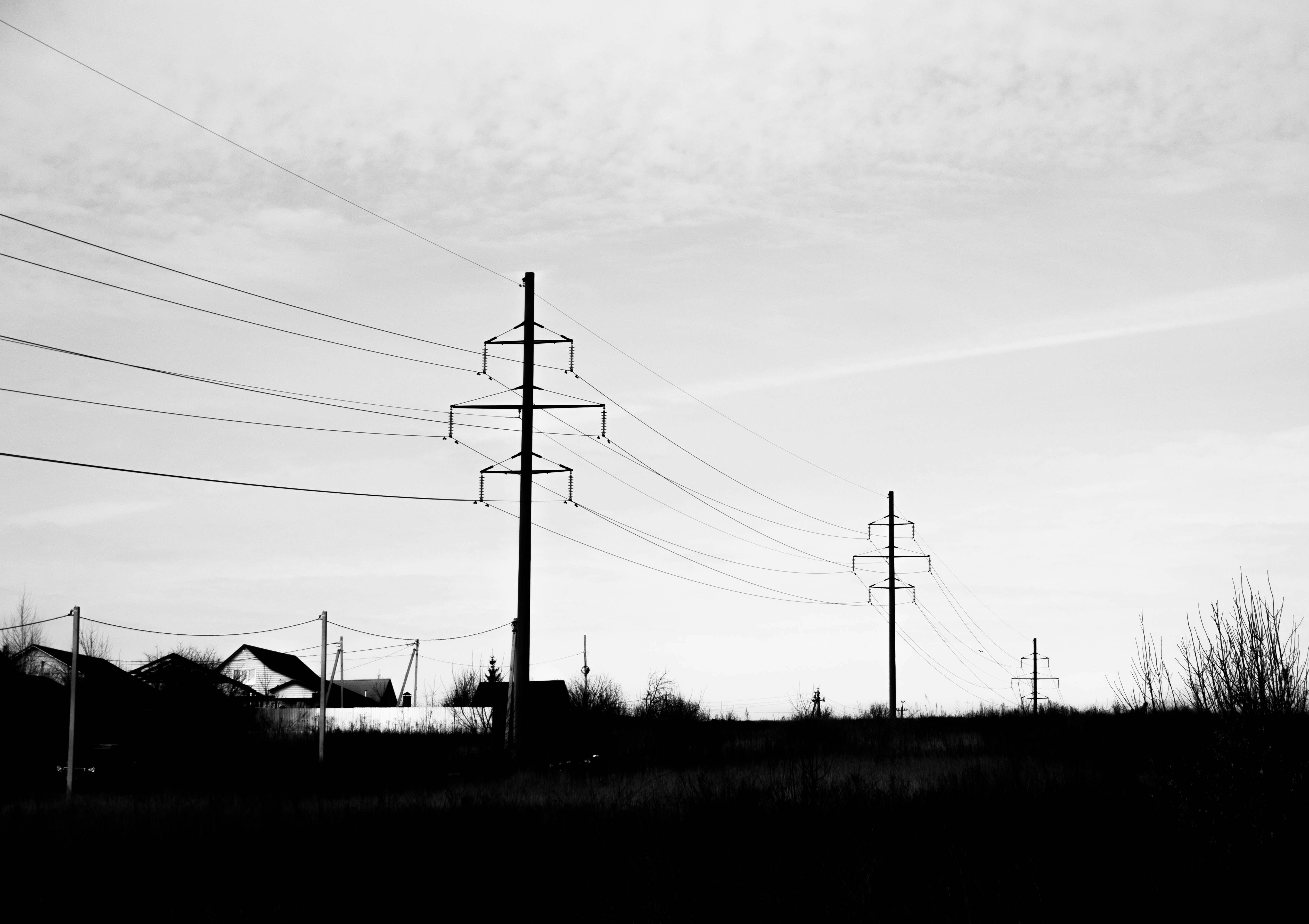 Photo by maksimzaviktorin