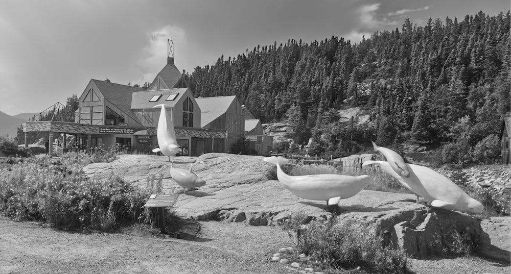 Una foto en blanco y negro de una casa y algunos pájaros