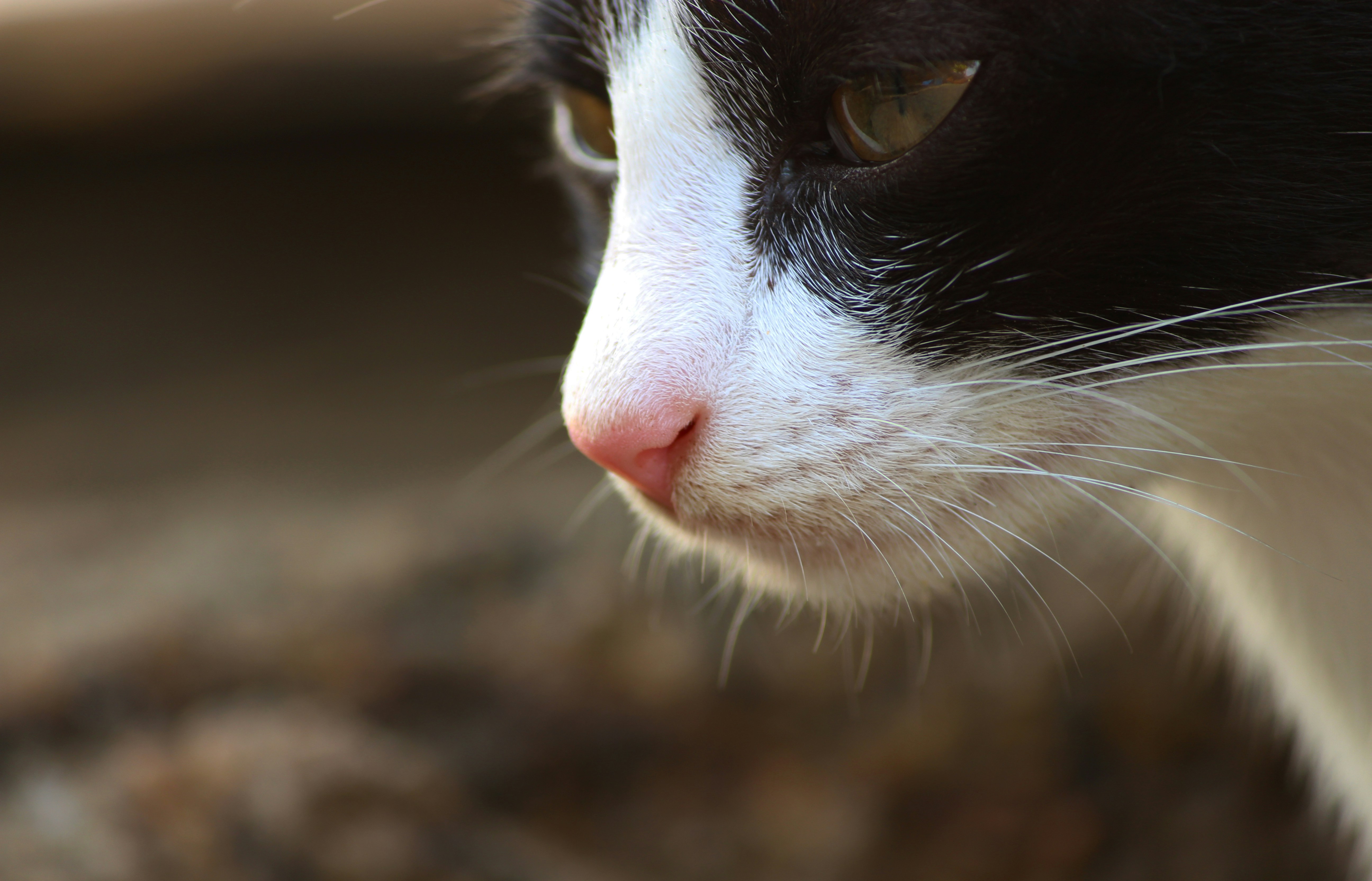 Photo by pixelperfects_john