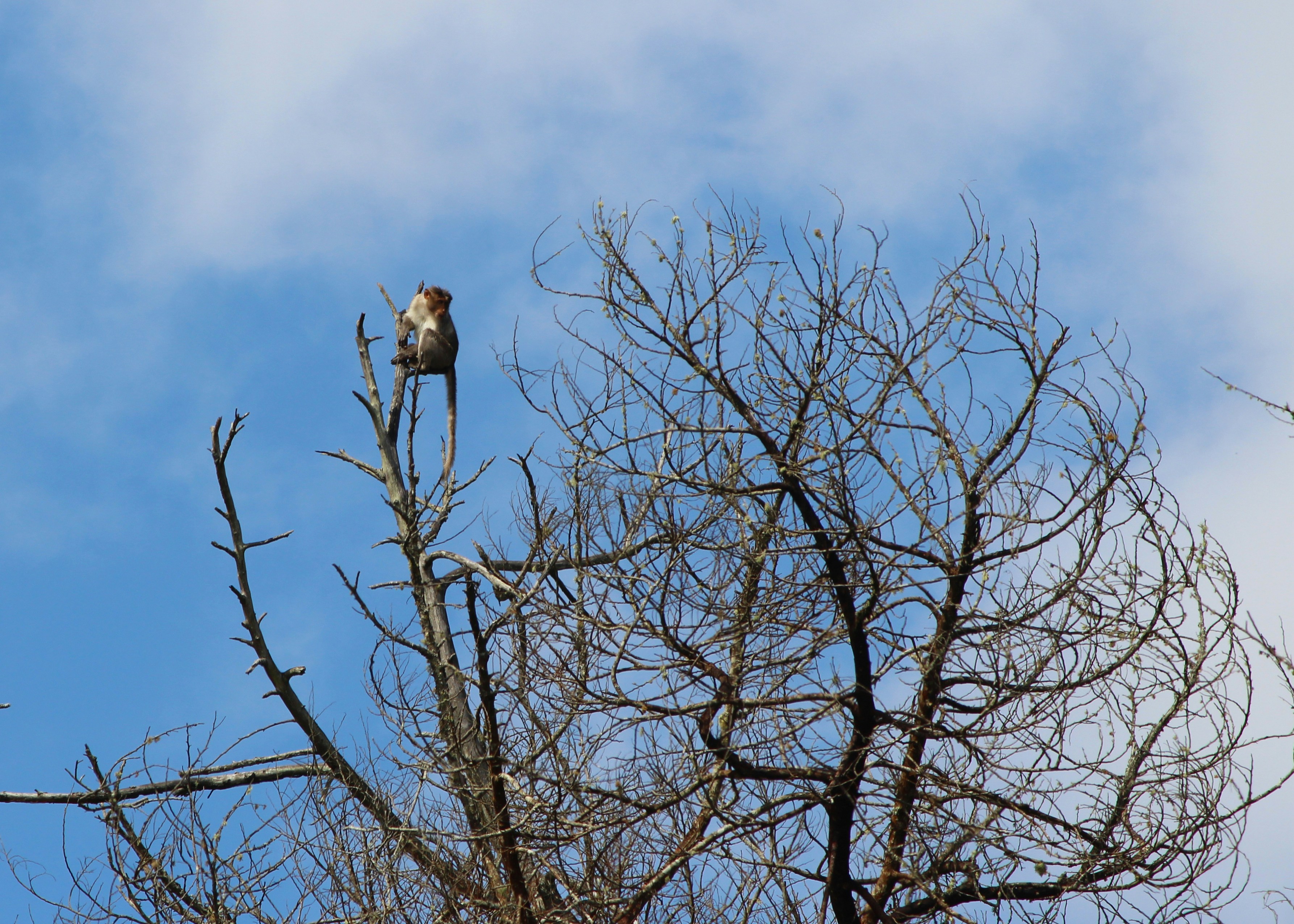 Photo by pixelperfects_john