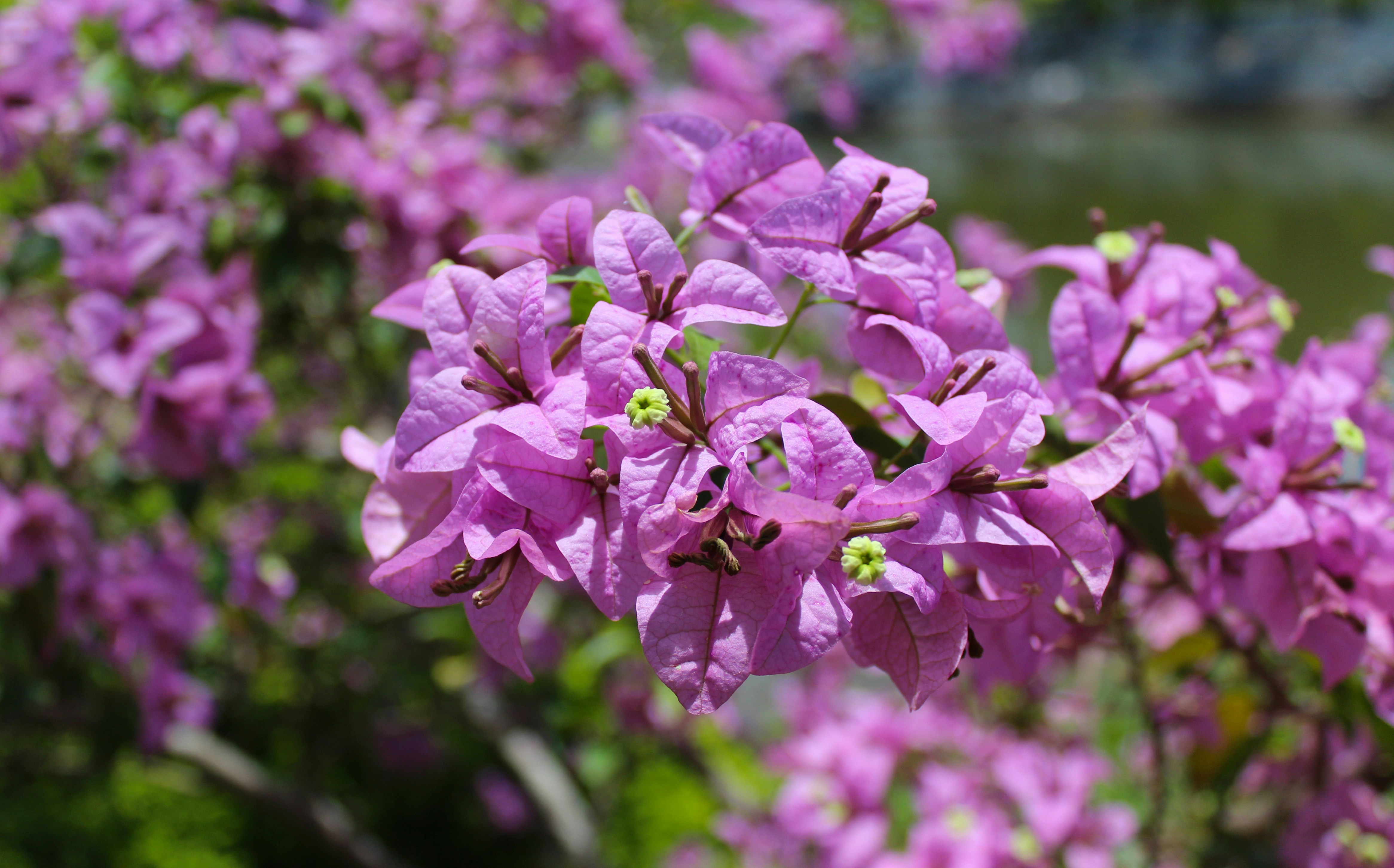 Photo by pixelperfects_john