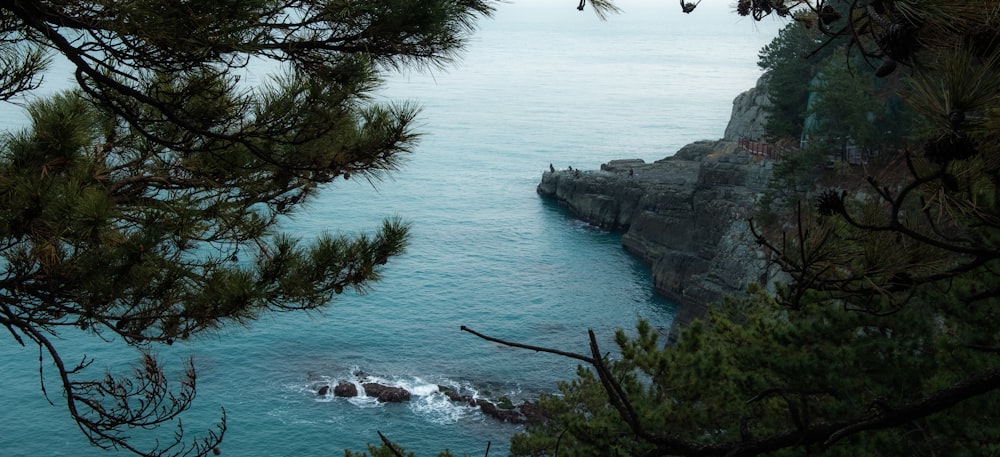 a body of water surrounded by trees and rocks