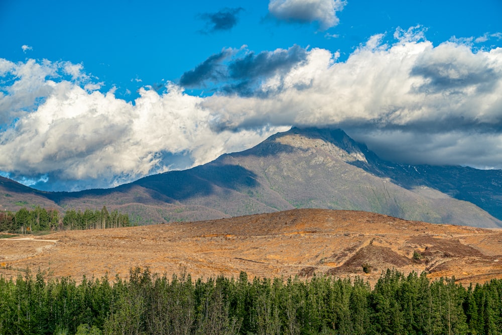 a view of a mountain range with trees in the foreground