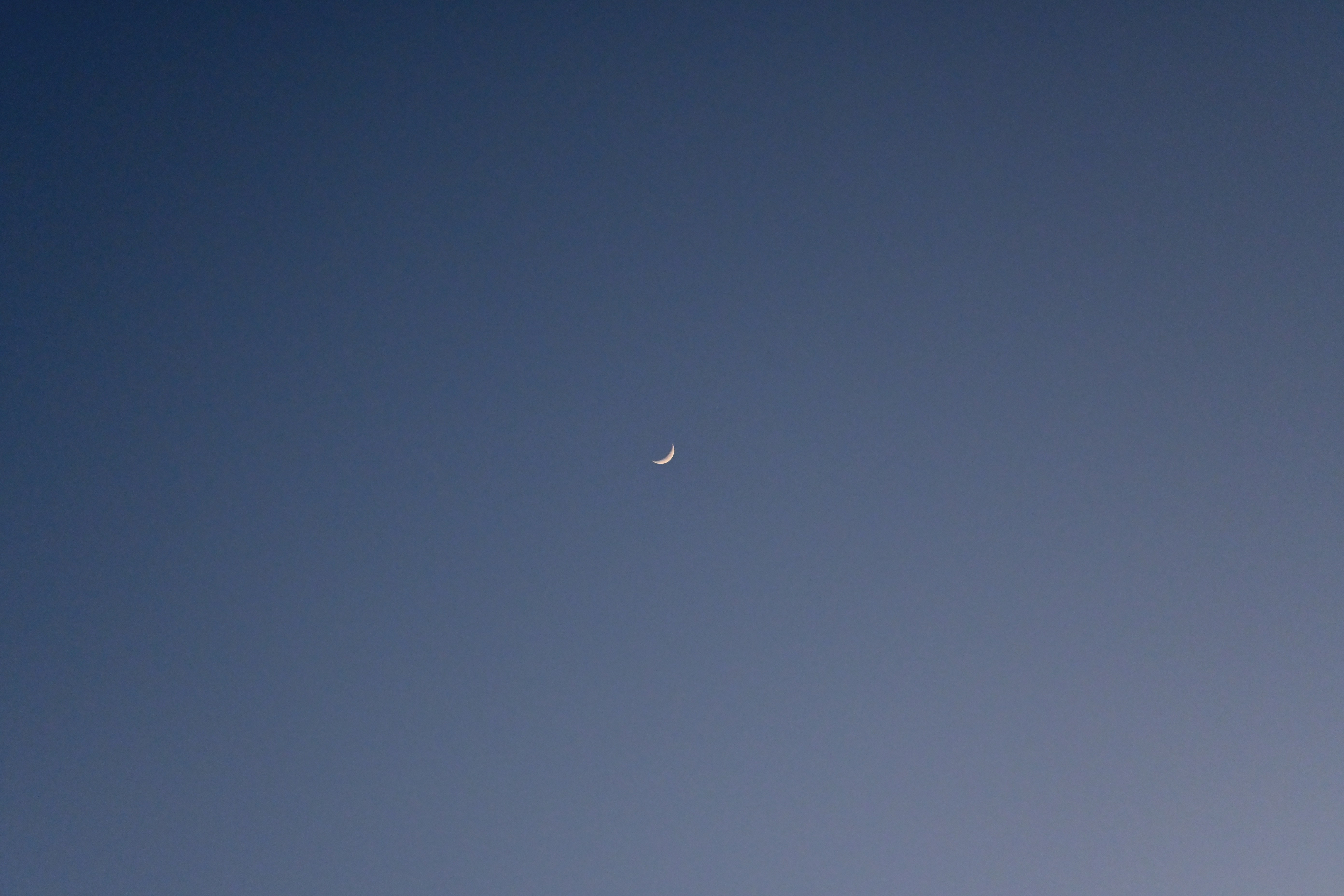 Photo by alexisphotographie_