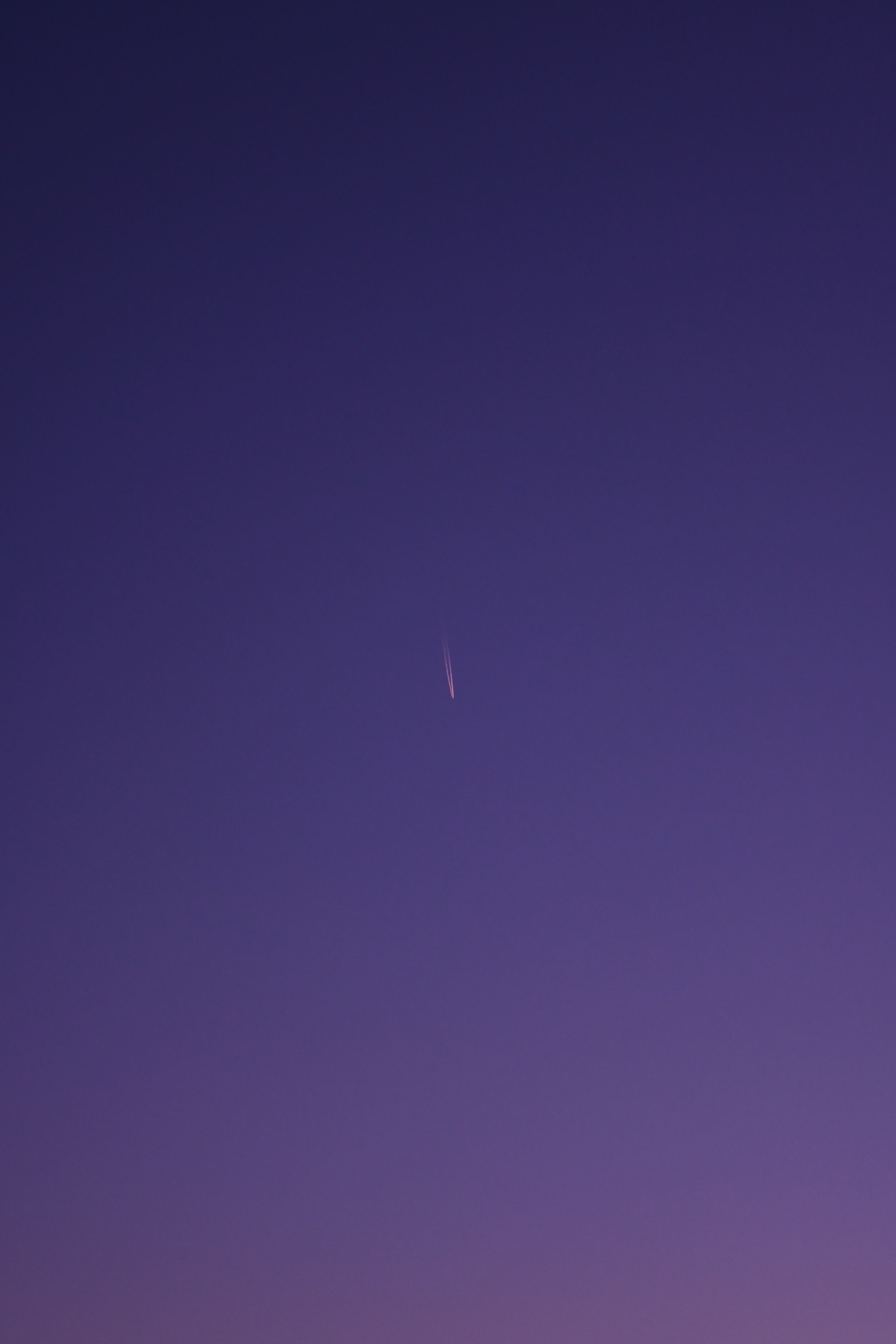 Photo by alexisphotographie_