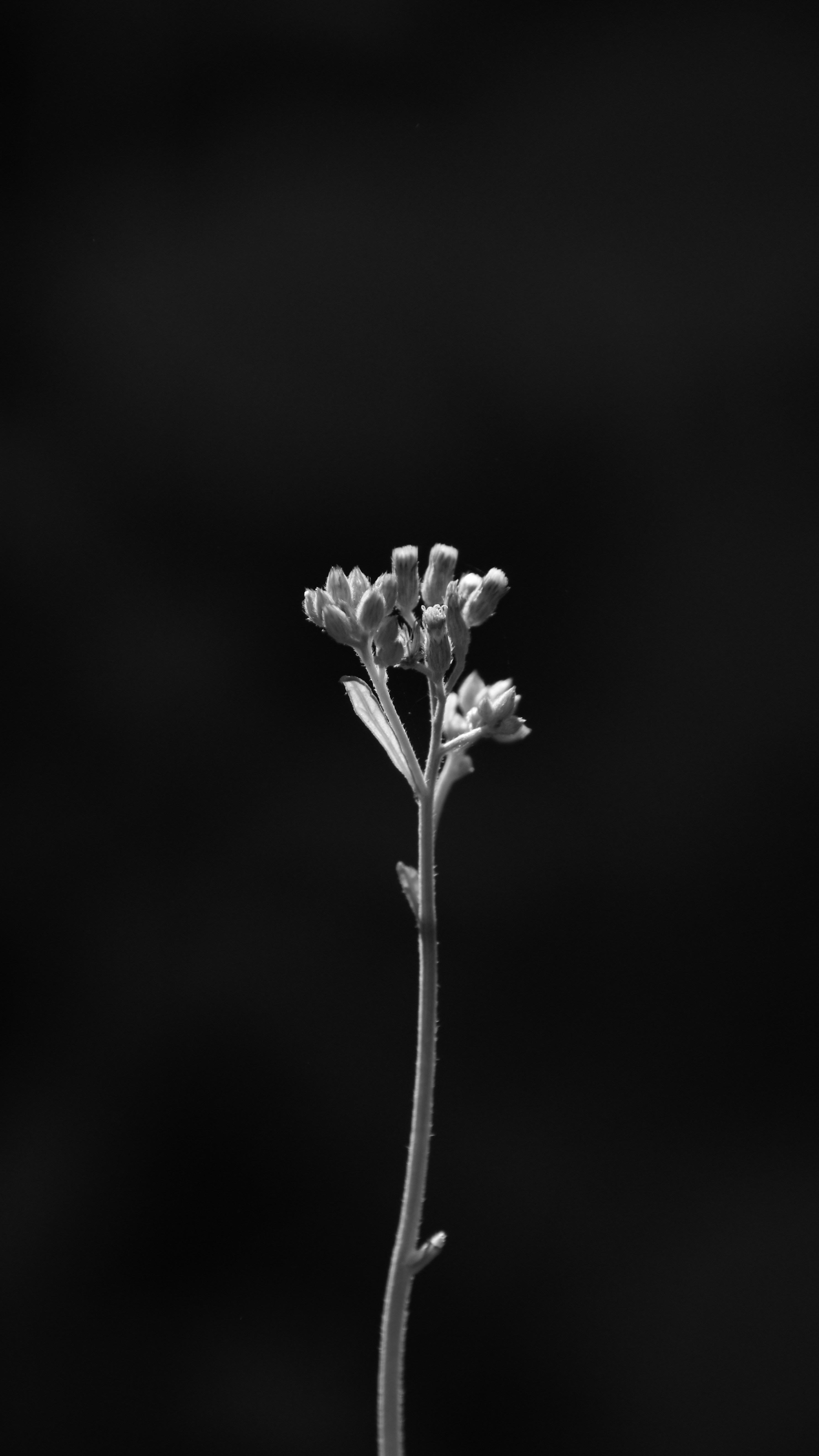 Photo by mr_pristine_