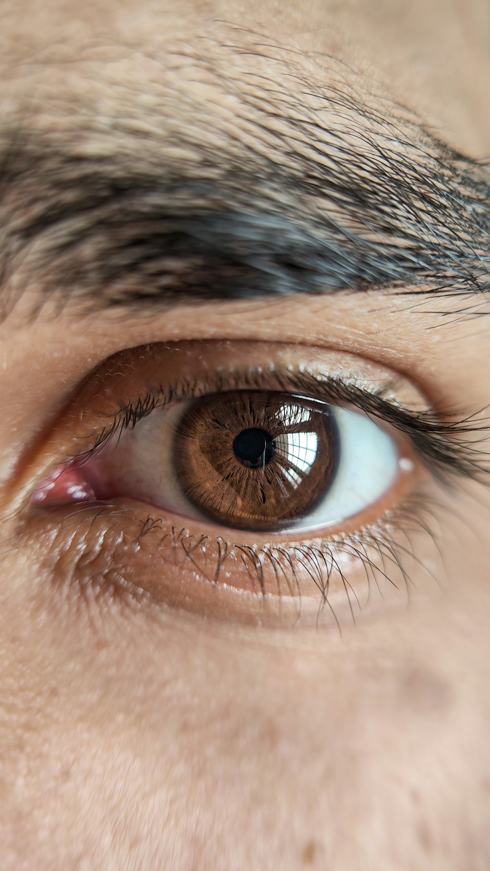 a close up of a person's brown eye