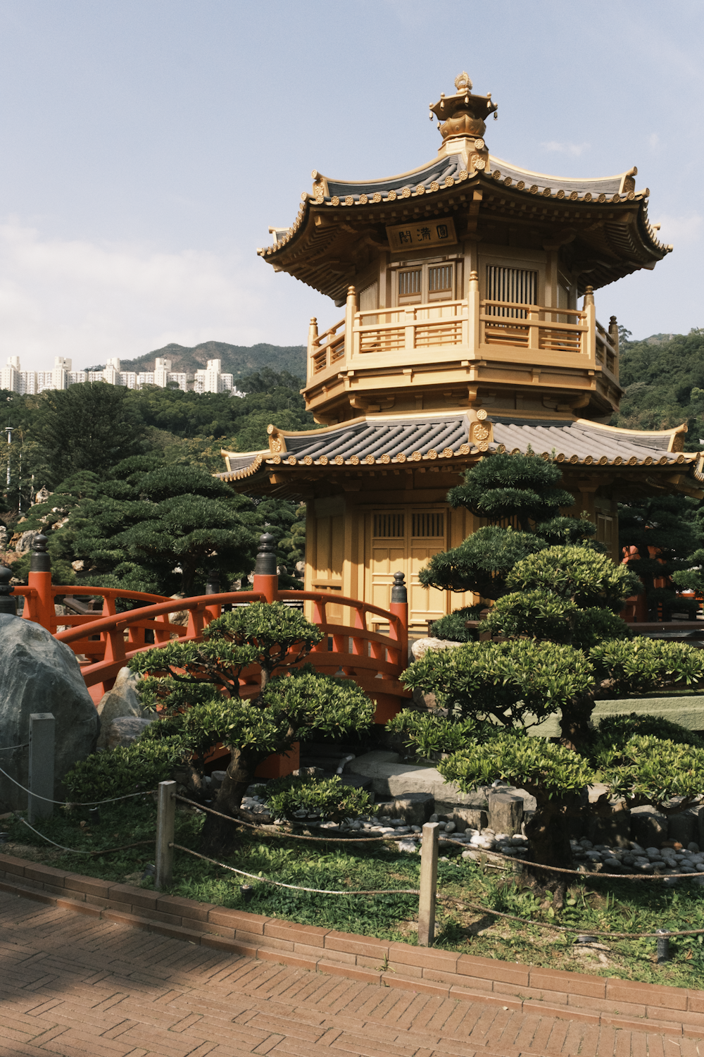 a tall building sitting next to a lush green forest