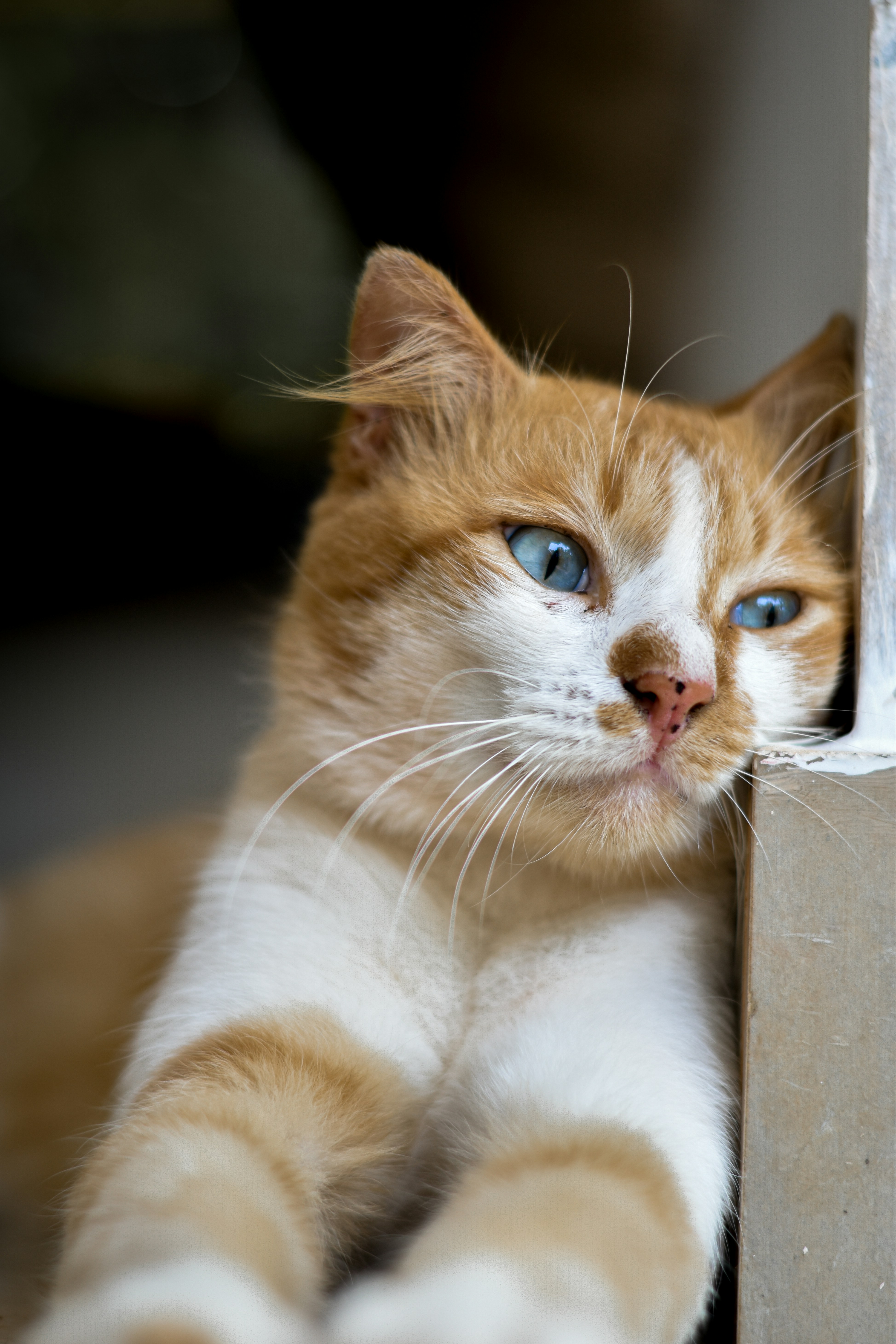 Photo by mr_pristine_