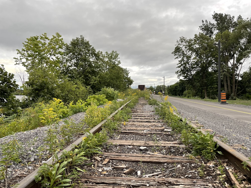 a train track with weeds growing on the side of it