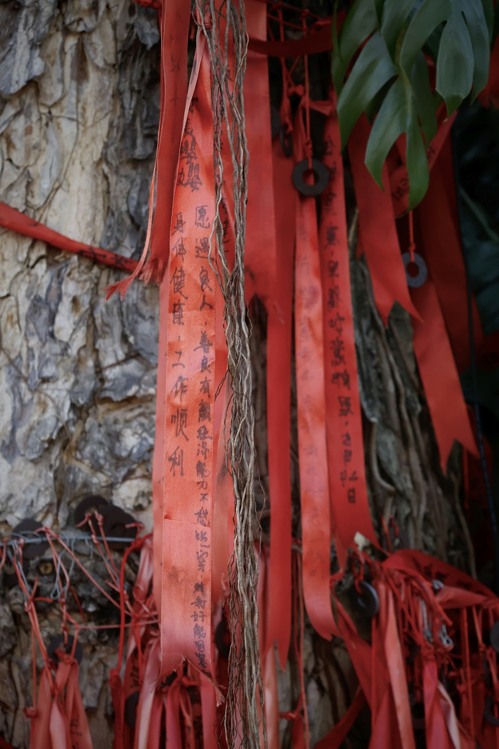 a bunch of red ribbons hanging from a tree