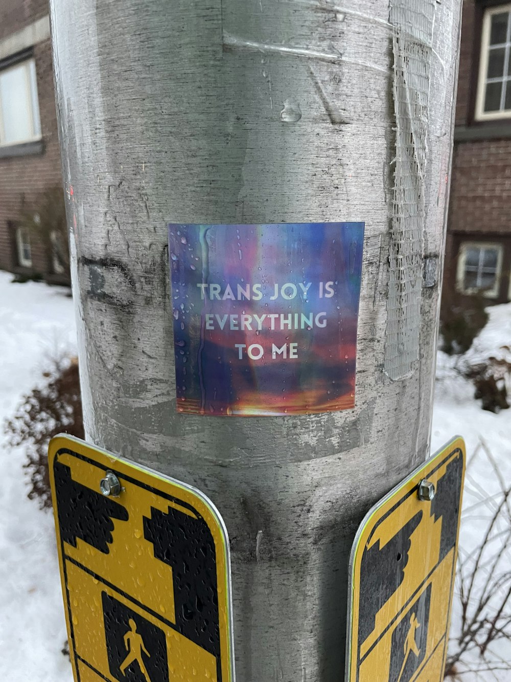 a sticker on a pole that says, trans joy is everything to me