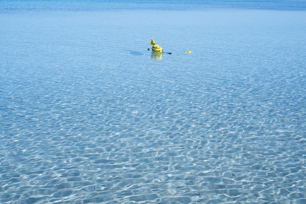 Ein gelber Hydrant sitzt mitten in einem See