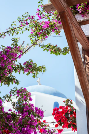 a white building with a blue dome and purple flowers