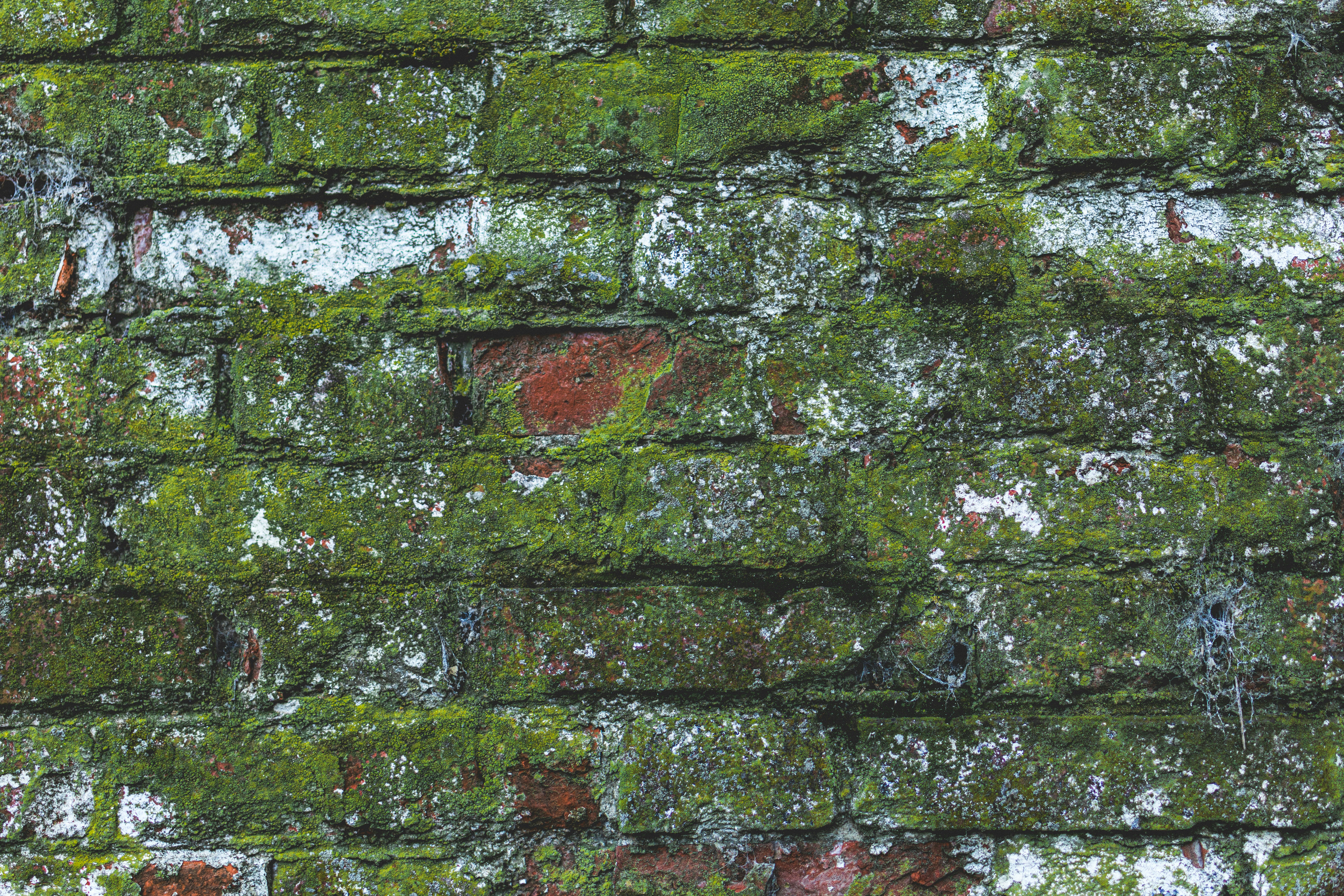 Photo by sentimaprinco