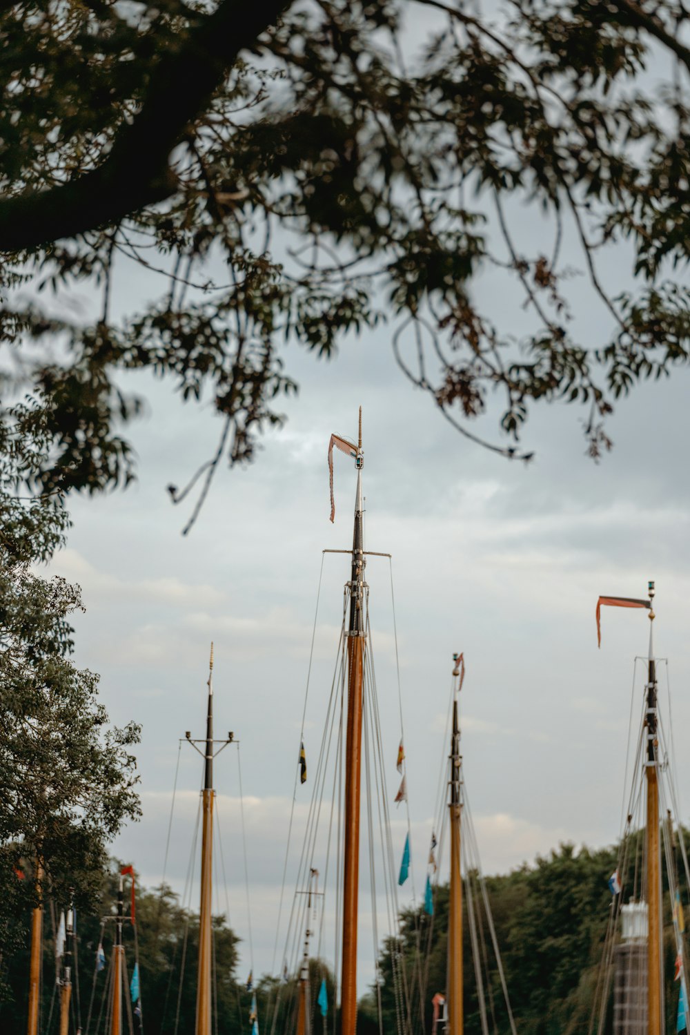 a row of sailboats sitting next to each other