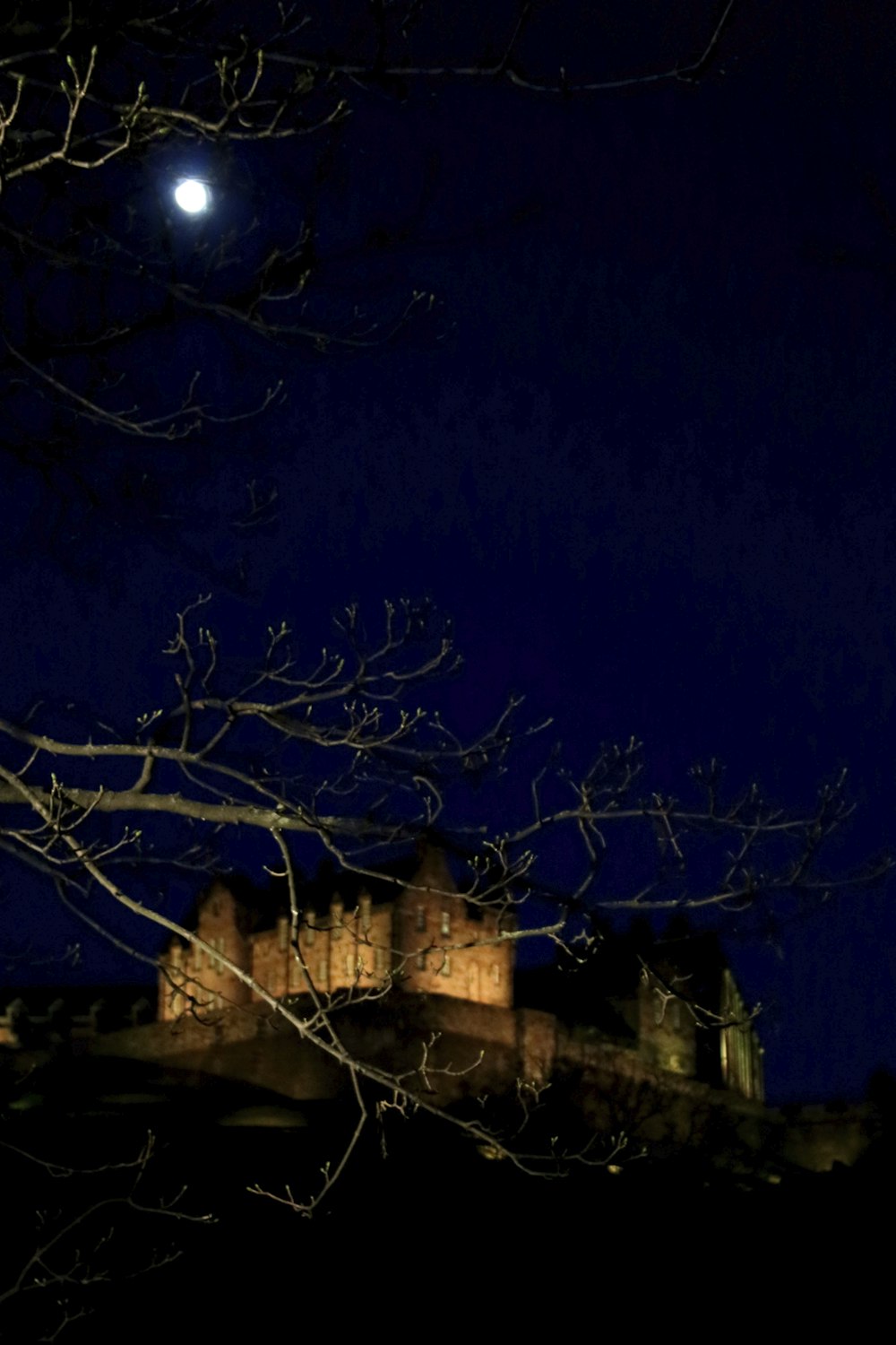 a full moon shines above a castle at night
