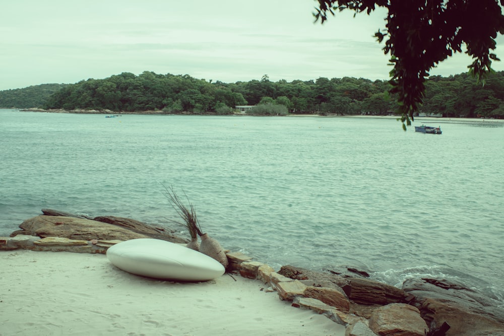 une planche de surf blanche posée sur la rive d’un lac